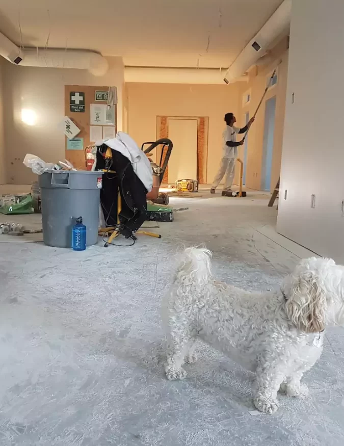 new house painters perth